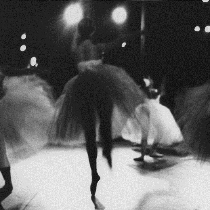 image066_artistsoftab_swanlake_photodarrylsmythe_1962_730x730