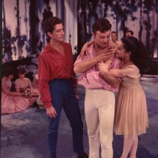 1964