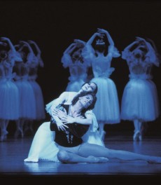 2186 Fiona Tonkin & Steven Heathcote, Giselle Act 2 Photo Branco Gaica 1992_730x838 2186 Fiona Tonkin & Steven Heathcote, Giselle Act 2 Photo Branco Gaica 1992_730x838